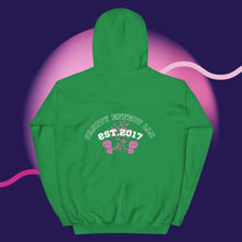 Load image into Gallery viewer, &quot;Vanity Effect LLC&quot; Unisex Hoodie
