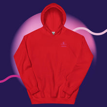 Load image into Gallery viewer, &quot;Vanity Effect LLC&quot; Unisex Hoodie