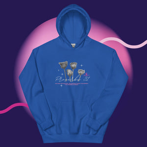 "Proverbs 31" Unisex Hoodie